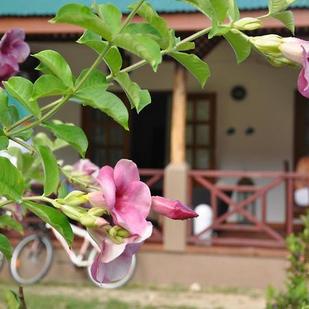 Paodise Guesthouse La Digue Exterior photo